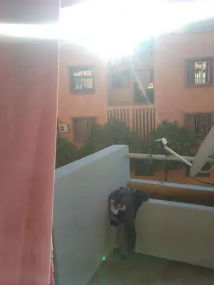 Gallery image of Joli studio au centre de Marrakech in Marrakech