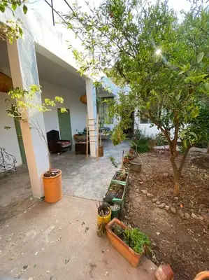 Gallery image of Ali's House in Marrakech