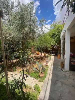 Gallery image of Ali's House in Marrakech