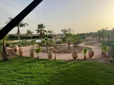a group of potted plants in a field with palm trees at Appartement élégant avec vue sur piscine jardin verdoyant et wifi ultra rapide in Marrakech