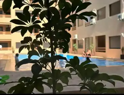 a plant in front of a swimming pool with people at appartement de luxe gueliz in Marrakech