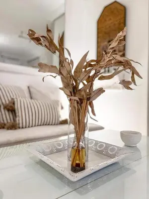 a vase with a plant in it on a table at Studio au coeur de Guéliz in Marrakech
