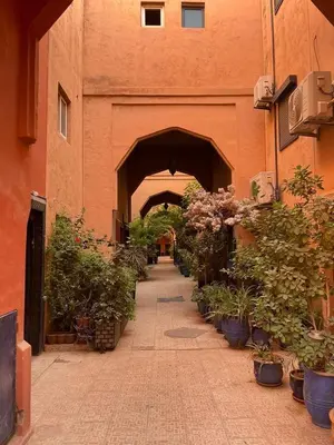 an archway with potted plants on a brick sidewalk at Riad Le shams in Marrakech