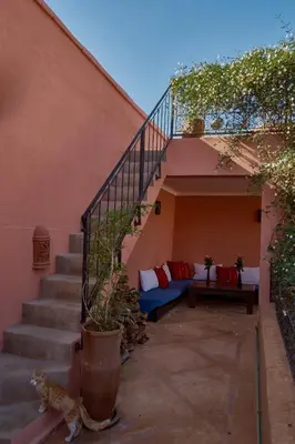 a cat sitting next to a staircase with a blue couch at Riad Chameleon in Marrakech
