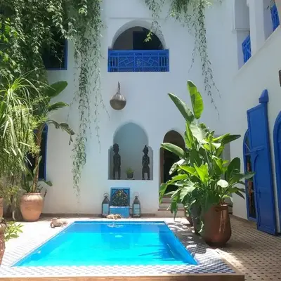 Riad Chameleon