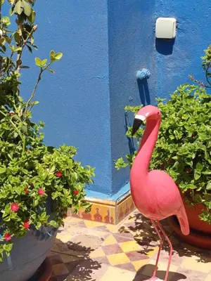 a pink flamingo is standing next to some plants at Riad Derb El Aarsa in Marrakech