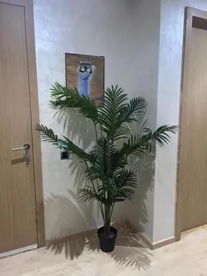 a plant in a room with a painting on the wall at Prestigia marrakech in Marrakech