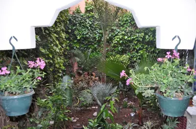 a garden with plants and flowers in buckets at Zina in Marrakech