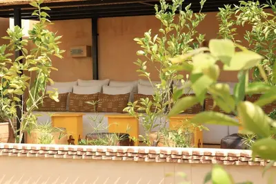 a bunch of plants in front of a building at Riad MONDRIAH in exclusivity only for you in Marrakech