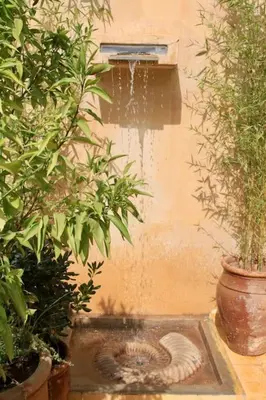 a pool of water in a garden with plants at Riad MONDRIAH in exclusivity only for you in Marrakech