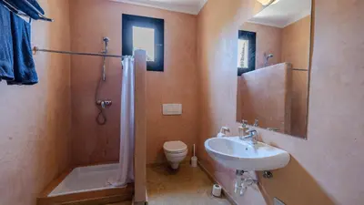 a bathroom with a shower and a sink and a toilet at la villa du golf in Sfiani