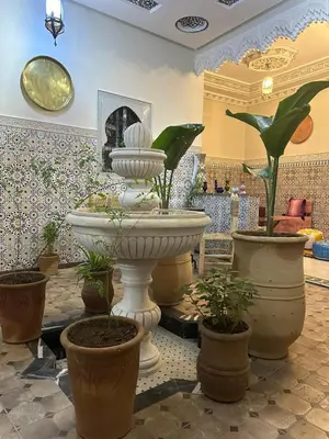 a large fountain in a room with potted plants at Riad Ramadan House Marrakech in Marrakech