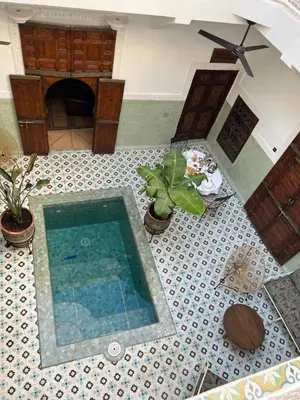 a swimming pool in a room with potted plants at Riad Panthera, Médina in Marrakech