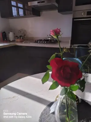 a vase with a red rose sitting on a table at اقامة حمزة in Marrakech