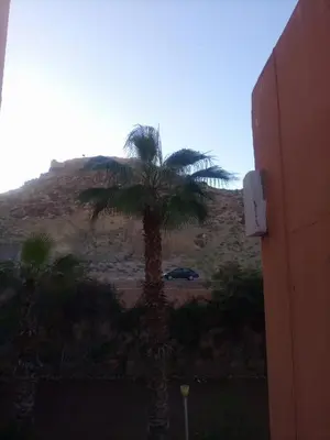 a palm tree in front of a hill with a car at Your right choice in Marrakech