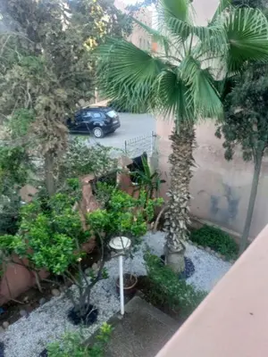 a palm tree and a car in a parking lot at Your right choice in Marrakech