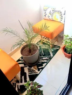 a potted plant sitting on a table in a living room at COZY Appartement in Marrakech