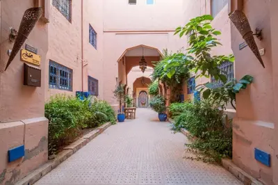 an alley way in an old building with plants at Tourist Riad in Marrakech
