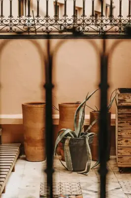 a potted plant sitting in a room with pots at Logement confortable et chic, Gueliz, Carre Eden in Marrakech