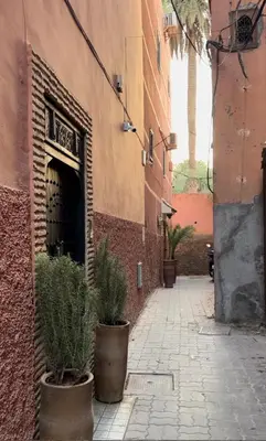 an alley with potted plants in front of a building at Riad dar Tayri in Marrakech