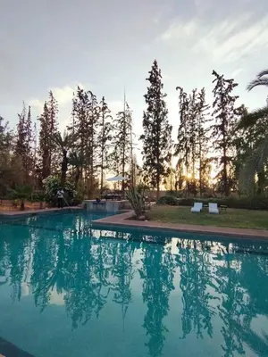 a large swimming pool with trees in the background at Riad shéhérazade Marrakech in Marrakech