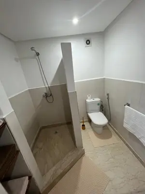 a bathroom with a shower and a toilet at Appartement Marrakech - quartier Gueliz in Marrakech