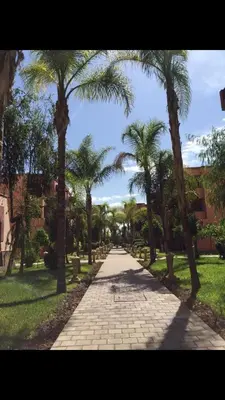 a sidewalk with palm trees in a park at مراكش in Marrakech