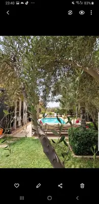 a tree in a yard with a pool in the background at Villa Bohème Havre de paix, piscine chauffée,4 Suites in Marrakech