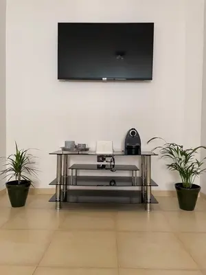a table with a television on a wall with two plants at Issam appart in Marrakech