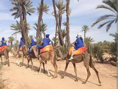 a group of people riding horses on the beach at Appart de luxe a gueliz a bon prix in Marrakech