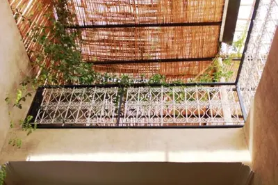 a window with a metal fence and some plants at Maison traditionnelle au cœur de la Médina in Marrakech