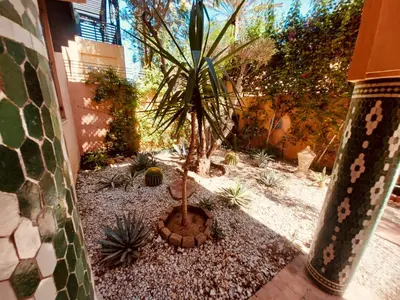 a small palm tree in a landscaping yard at Naoura House in Marrakech