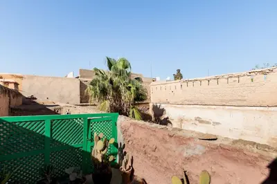 a group of cactuses sitting on a wall at Riad Petit Pouce 40m2 in der Medina mit Terrasse in Marrakech