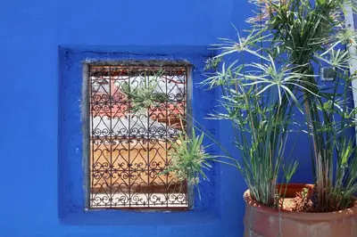 a window in a blue wall with potted plants at Riad Haloma 90m2 in der Medina mit Terrasse in Marrakech