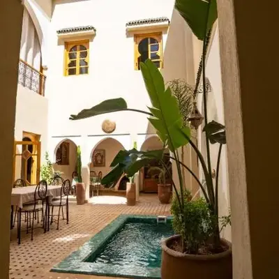 Riad Saadaoui
