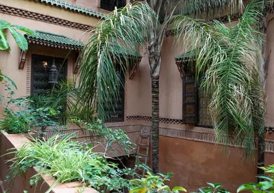 a palm tree in front of a building with plants at Riad Amirat Al Jamal in Marrakech