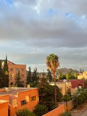 a palm tree in the middle of a city at Refined apartment DOWNTOWN in Marrakech