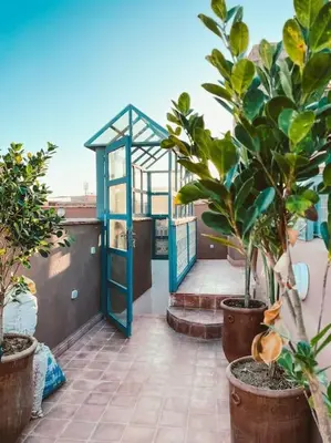 a balcony with potted plants and a blue greenhouse at Riad Dar Cidi 100m2 in der Medina mit Terrasse in Marrakech