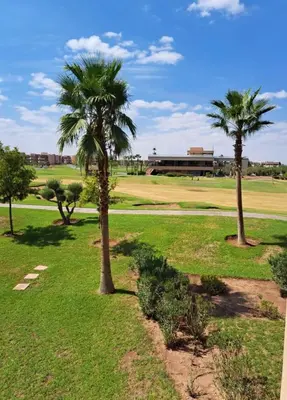a group of palm trees in a park at Luxury 2 bedroom flat Center Marrakesh in Marrakech