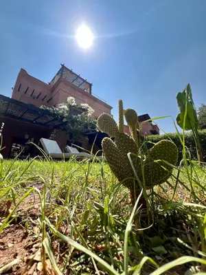 a cactus in the grass in front of a building at Garden Villa-Style Retreat with Patio, BBQ & Pools in Marrakech