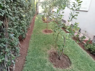 two trees in a garden next to a wall at golf amelkis médina 1 N 50 in Marrakech