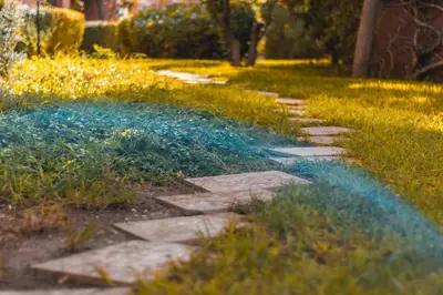 a path in a garden with blue flowers and grass at Marrakech Garden Tropical Escape in Marrakech