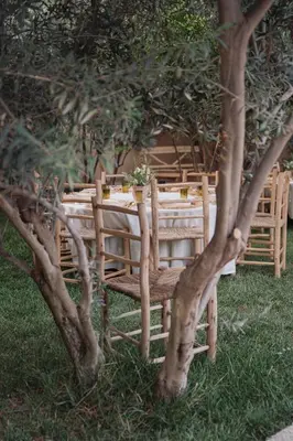a wooden table with plants on it next to trees at La Villa Safran Ailleurs sous les Oliviers in Marrakech