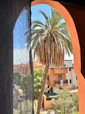 a palm tree is seen through a window at Appartement Sylia in Marrakech