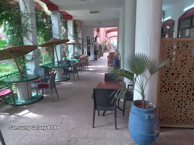 a restaurant with tables and chairs and a potted plant at TOP couple apartment in Marrakech