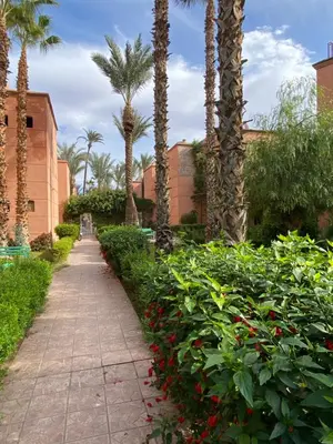 a walkway in a park with palm trees and bushes at Riyad piscine intérieure privative in Marrakech