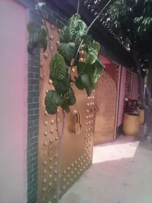 a door with a bunch of plants hanging from it at La porte d Or in Marrakech