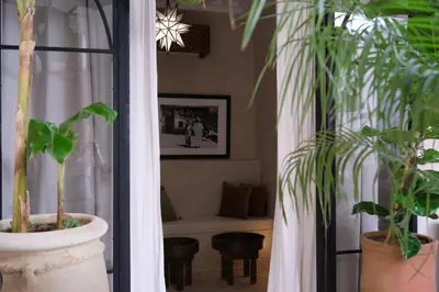 a living room with potted plants and a couch at Riad Solange in Marrakech