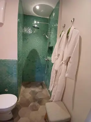 a bathroom with a shower and a toilet and towels at Appartement Palmeraie avec terrasse in Marrakech