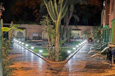 a garden with a palm tree and lights on the ground at Riad Mido in Marrakech